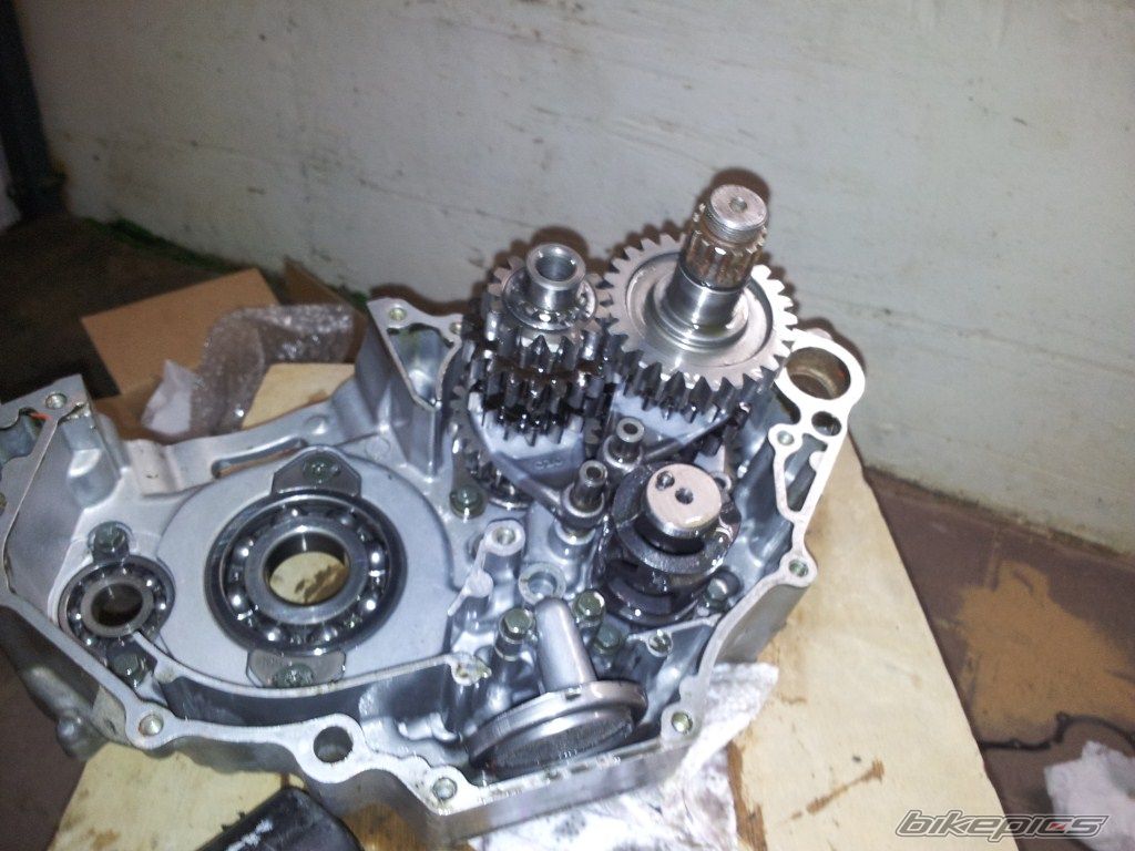 Photo 2465914