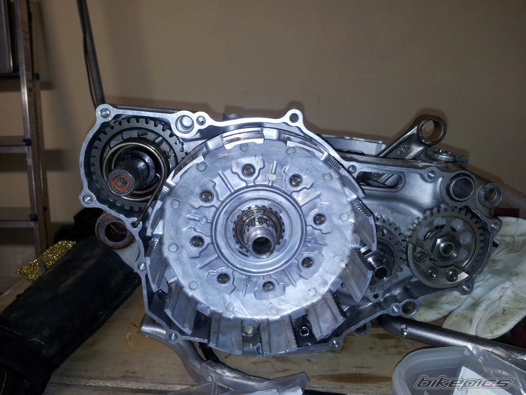 Photo 2465931