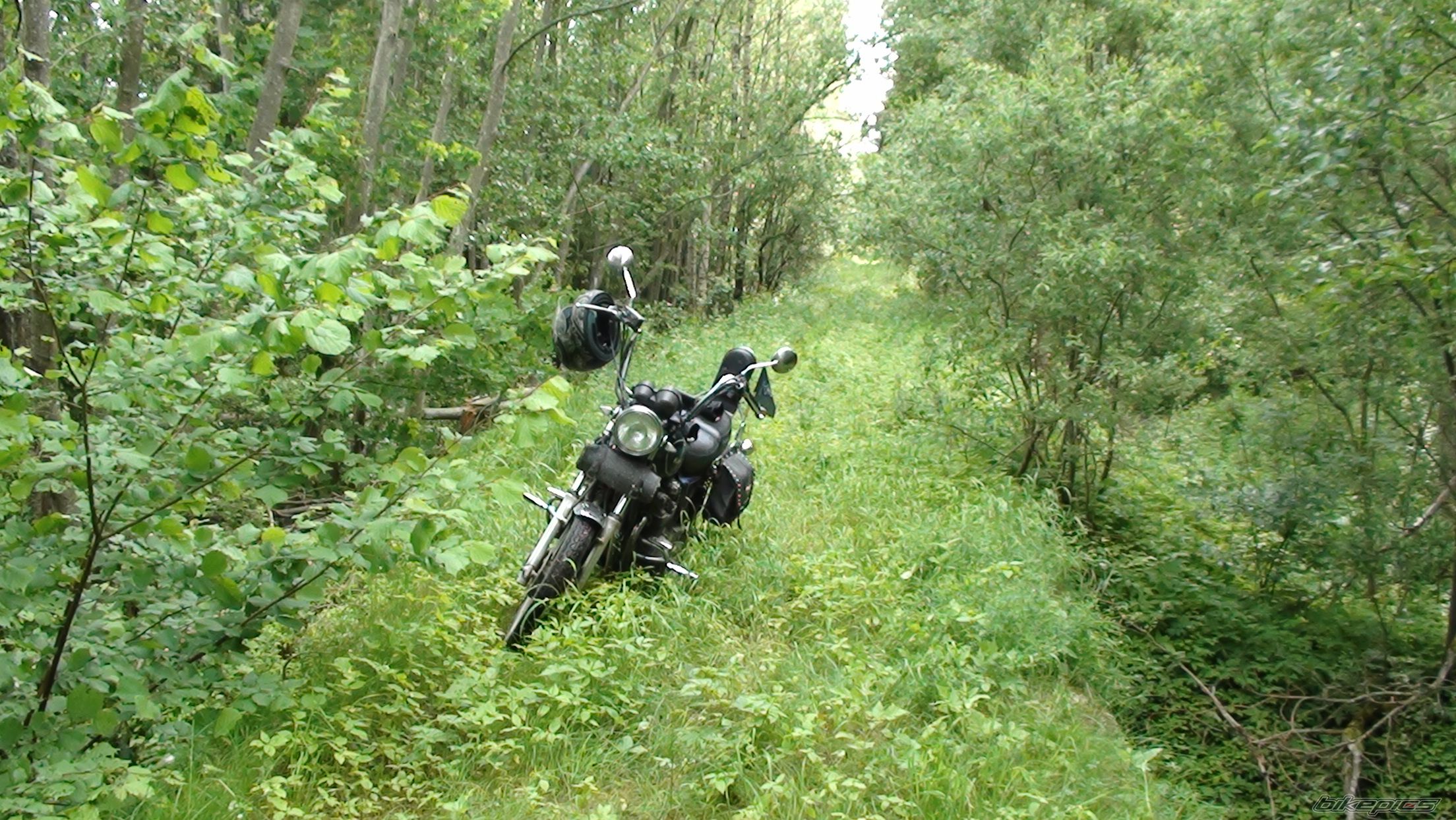 Photo 2465964