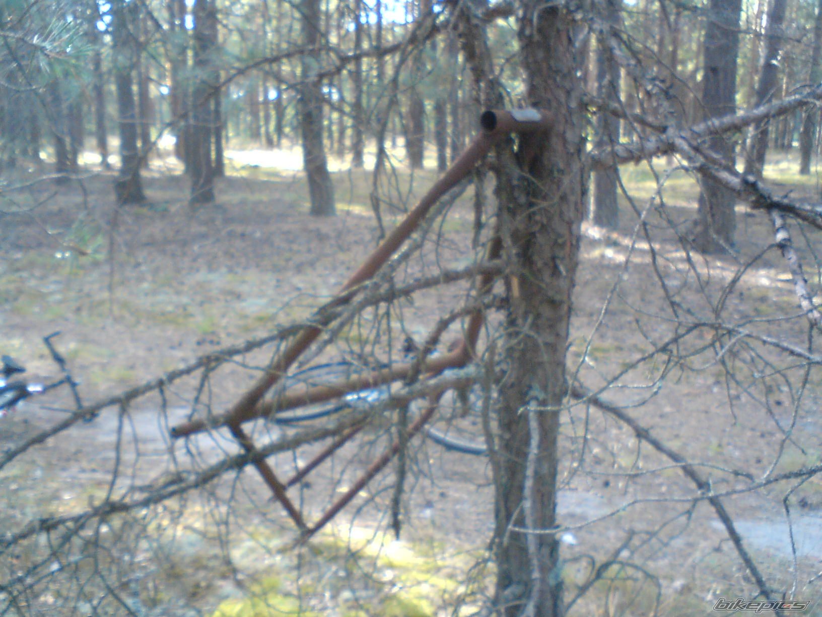 Photo 2466004