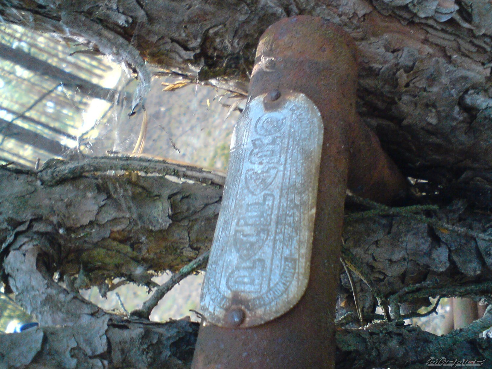 Photo 2466005