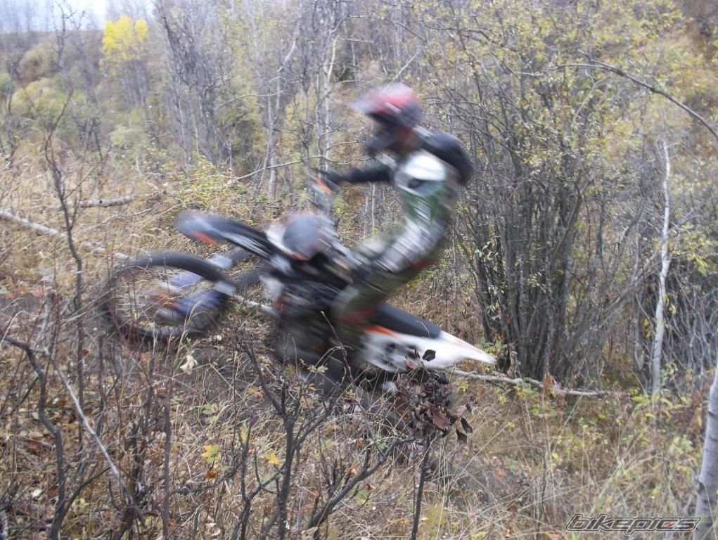 Photo 2466055