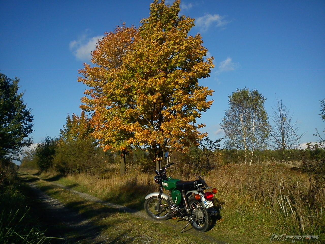 Photo 2466191