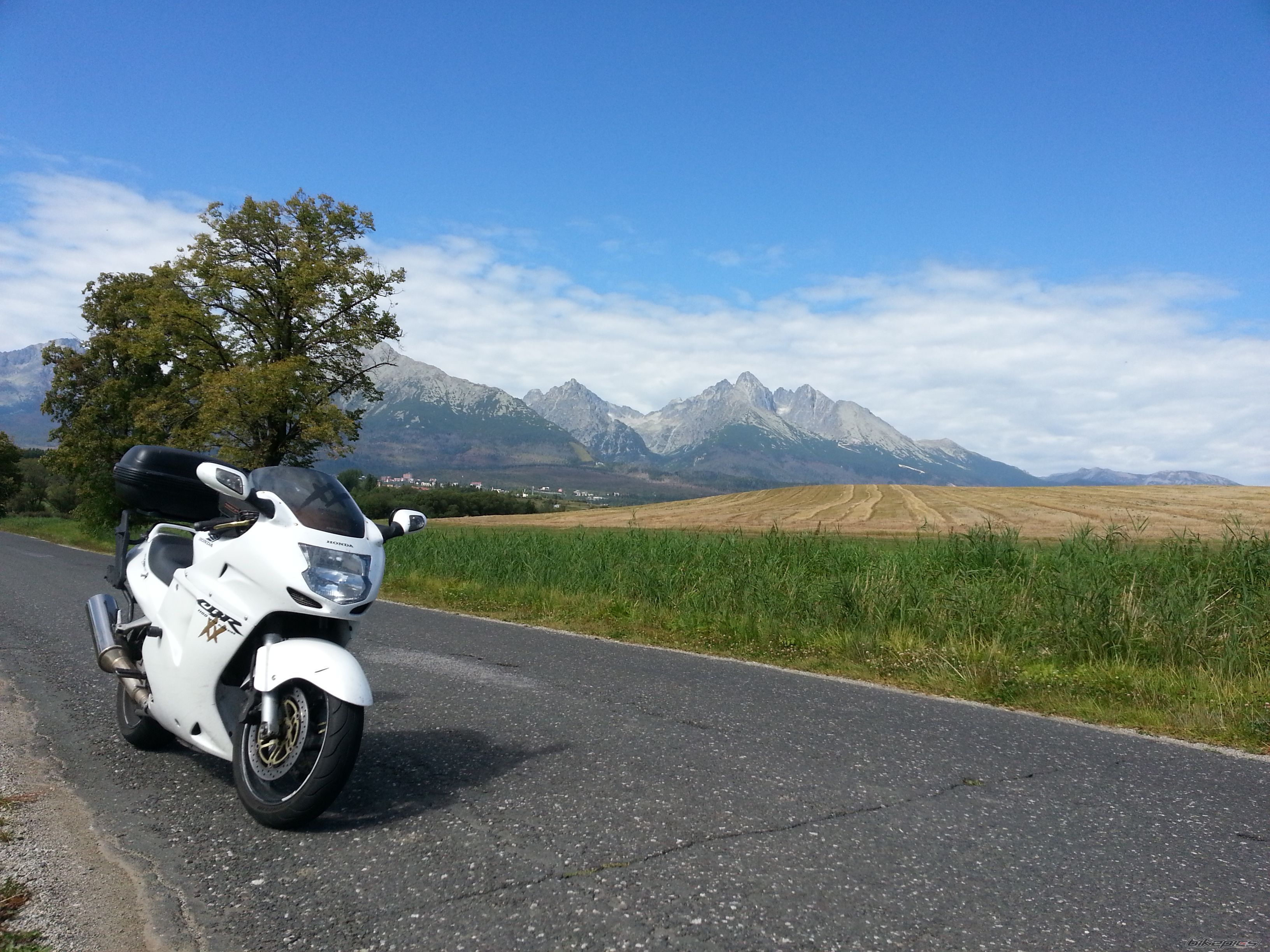 Photo 2466263