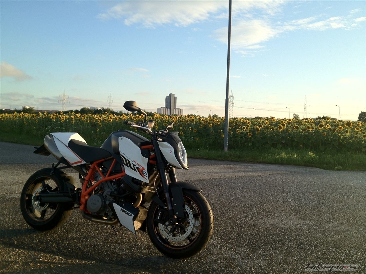 Photo 2466346