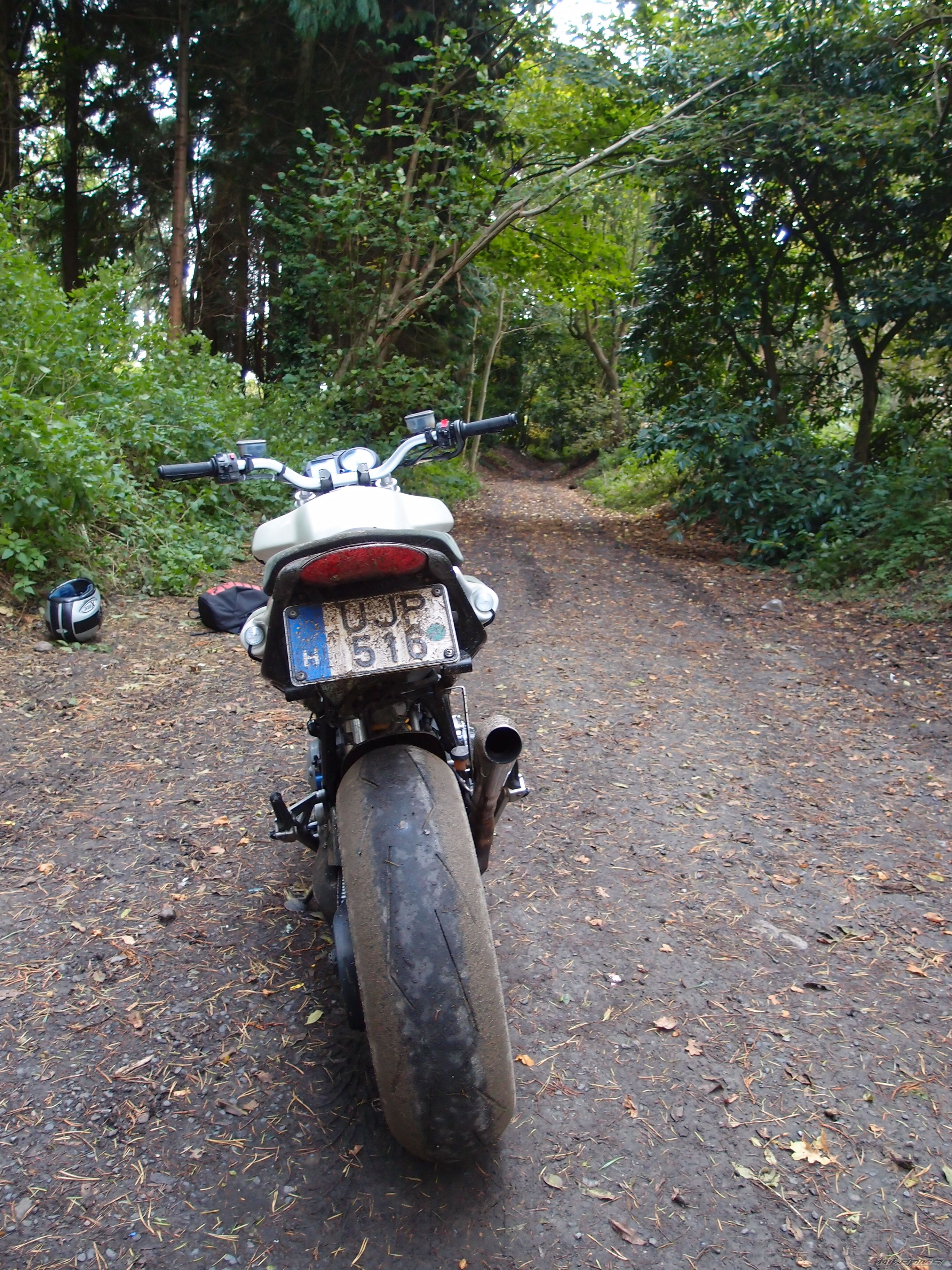 Photo 2466366