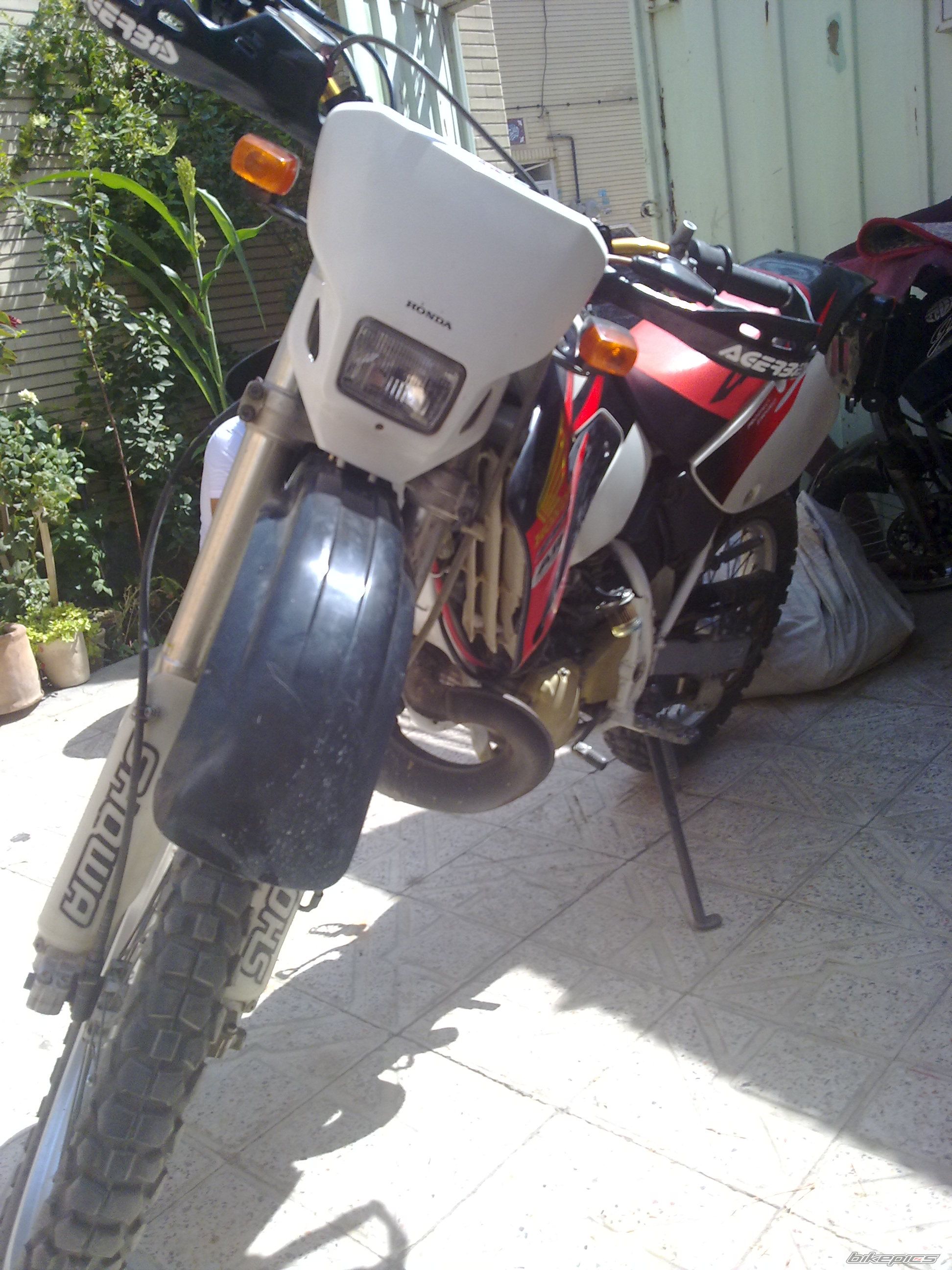 Photo 2466381