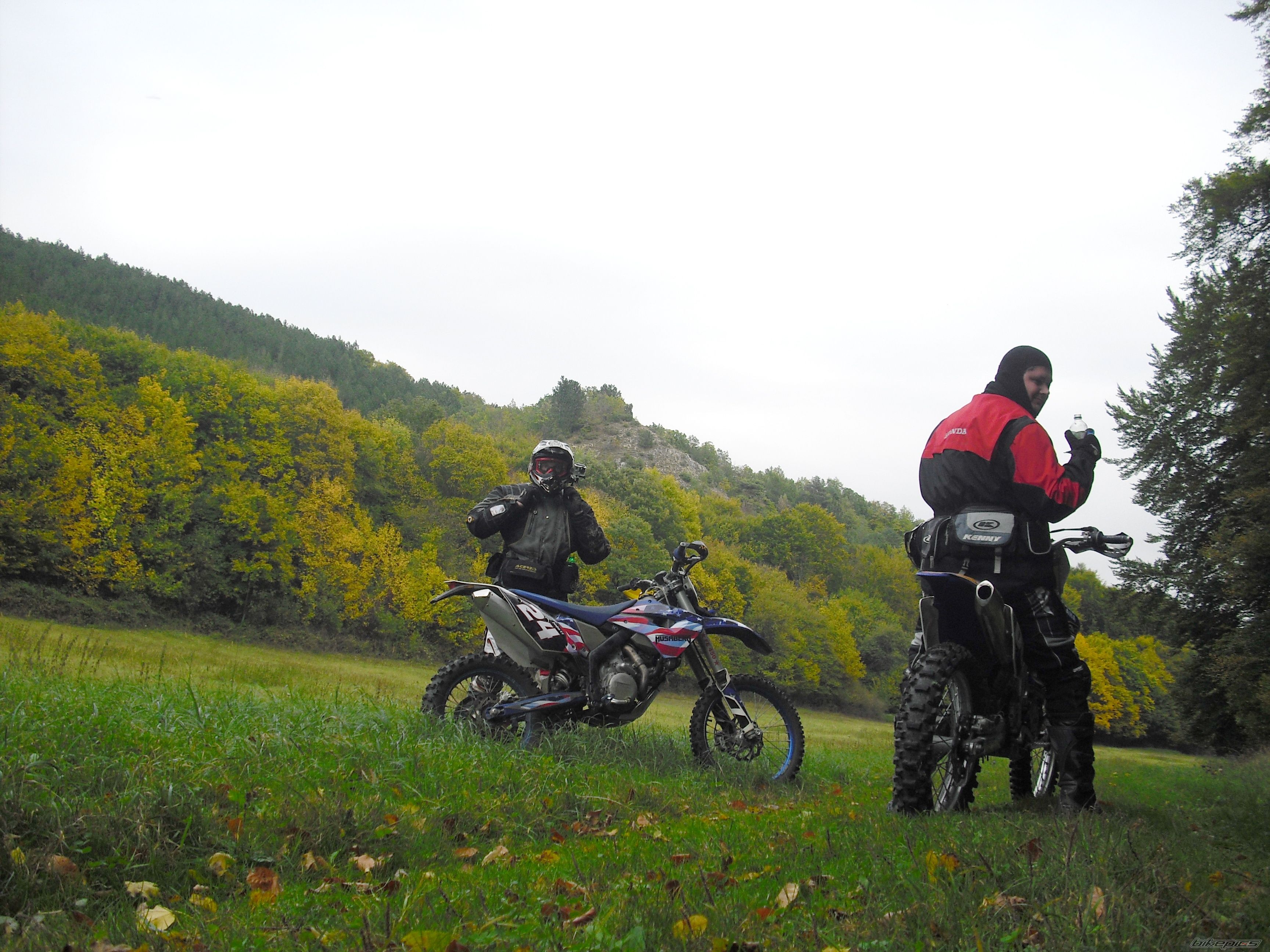 Photo 2466397