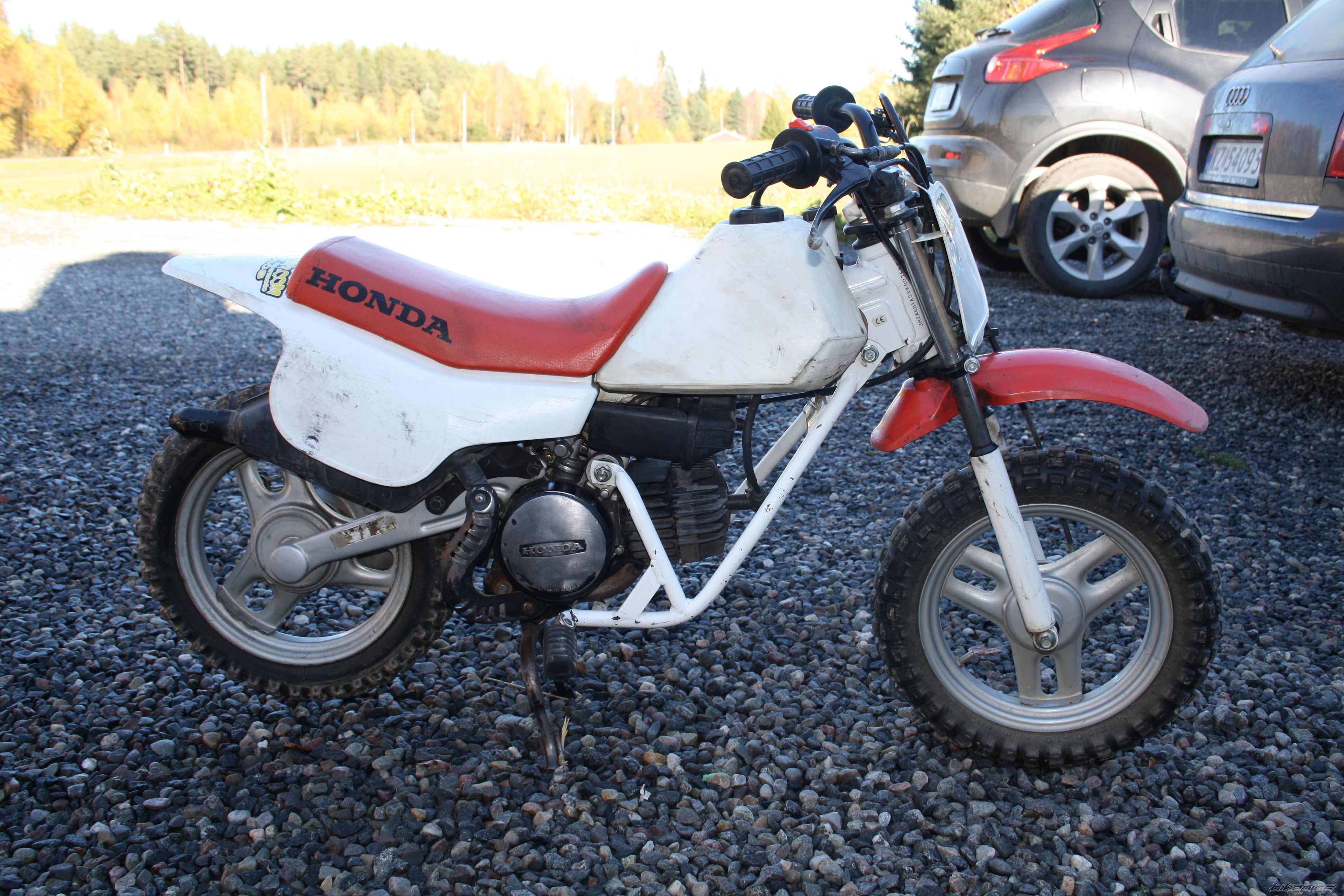 Photo 2466499