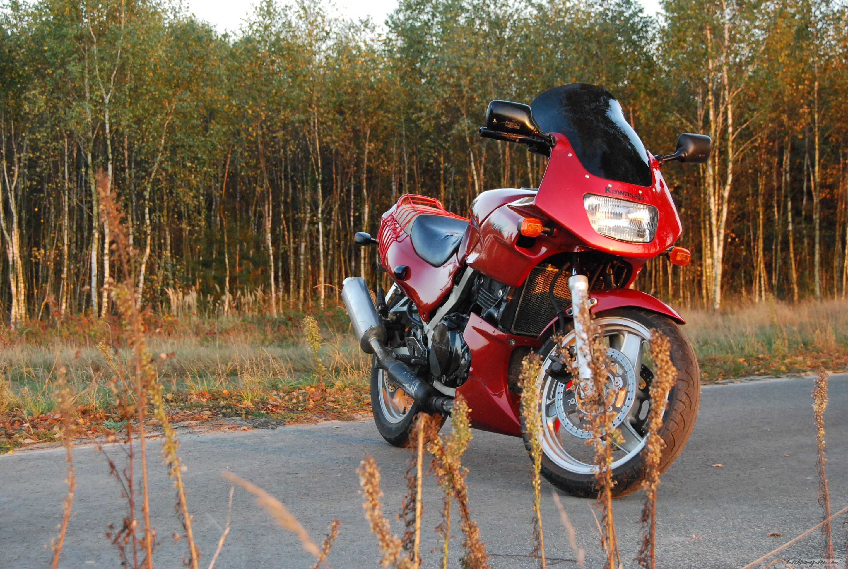 Bike Photo 2466517
