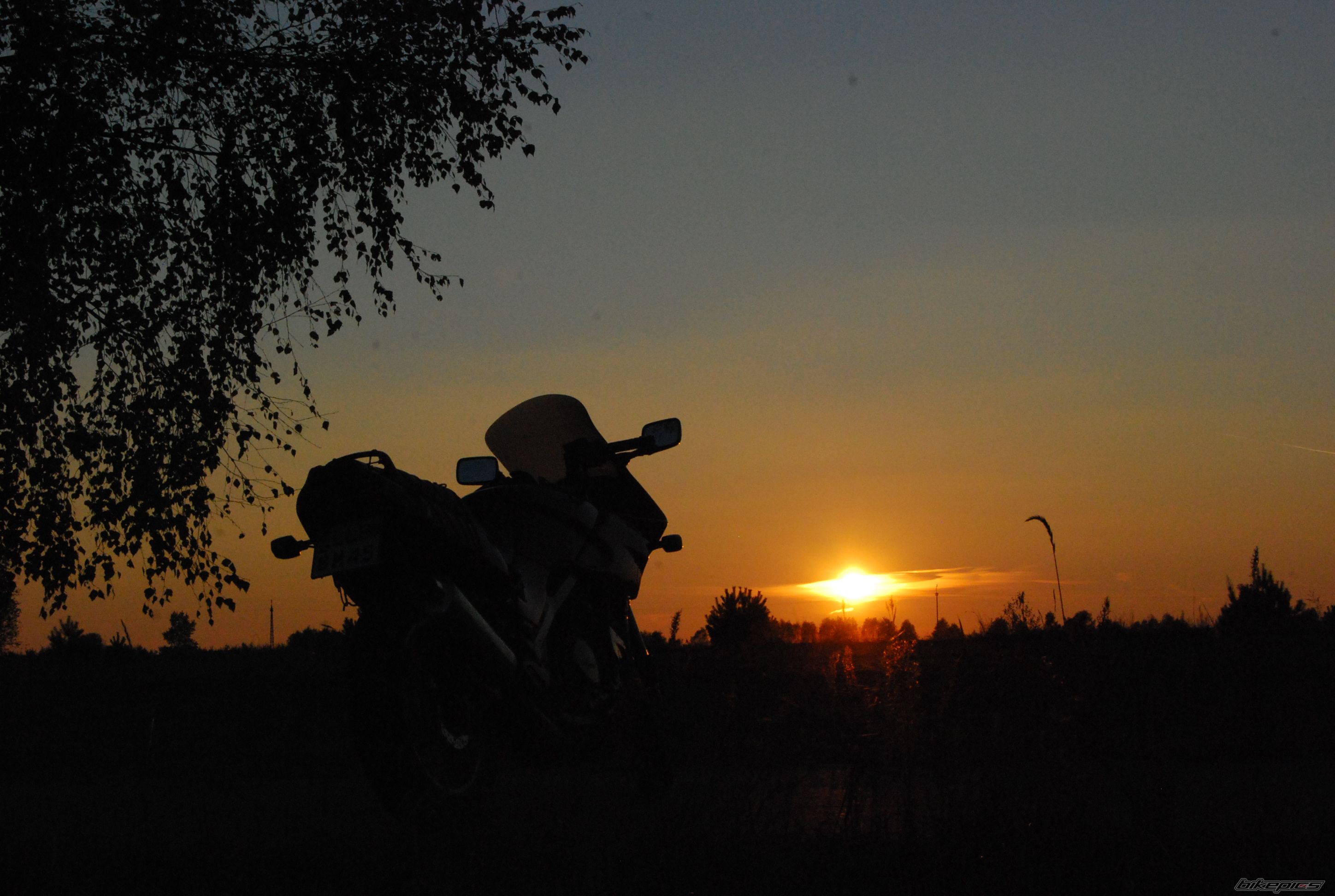 Bike Photo 2466518