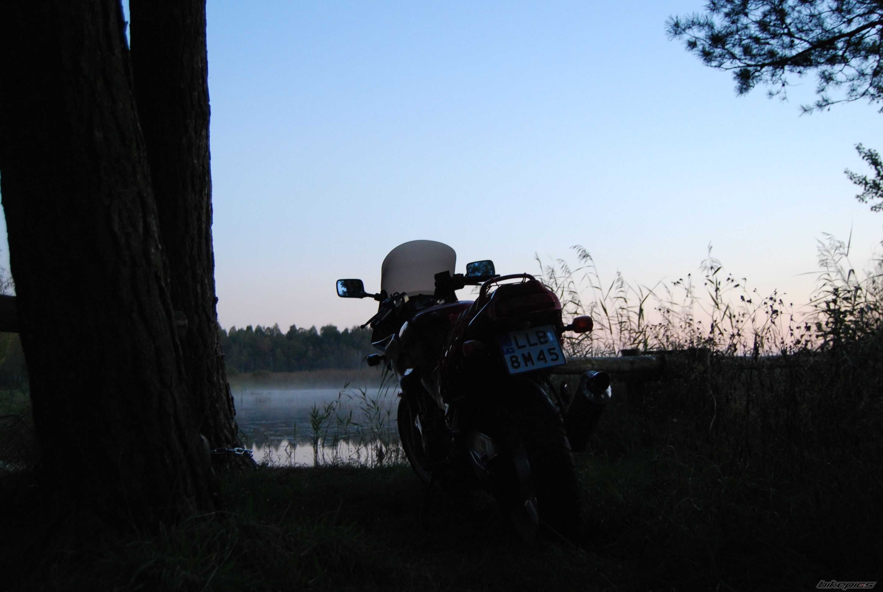 Photo 2466521