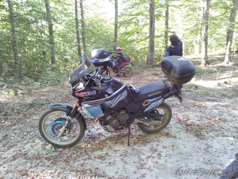 Photo 2466547