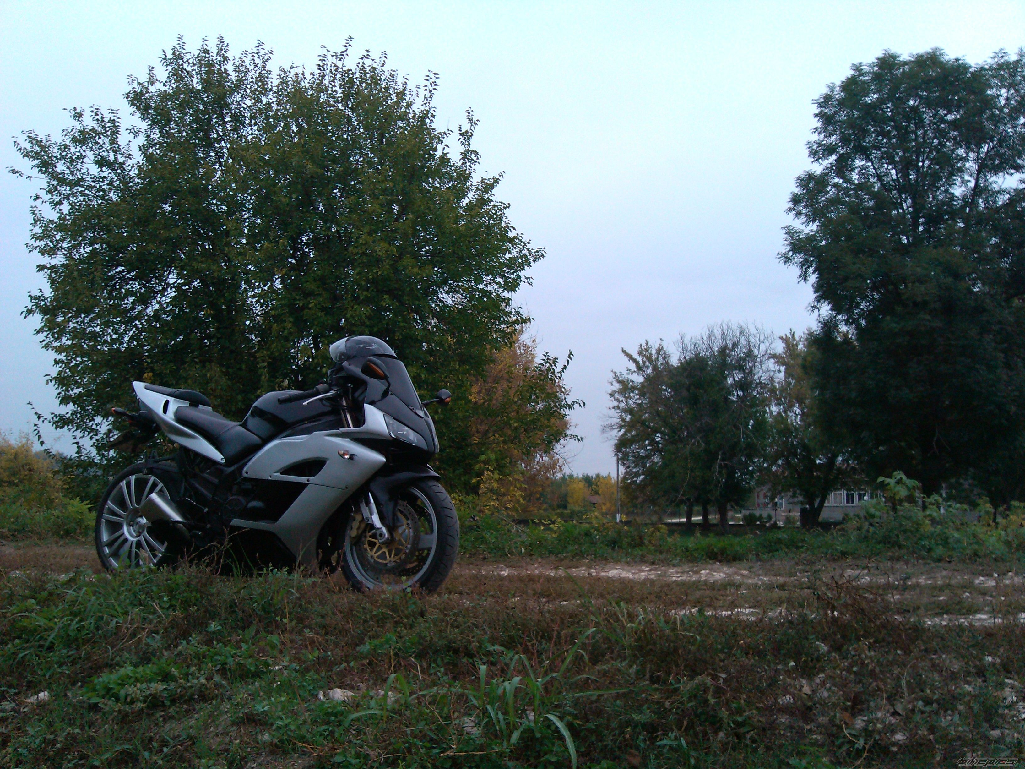 Photo 2466619