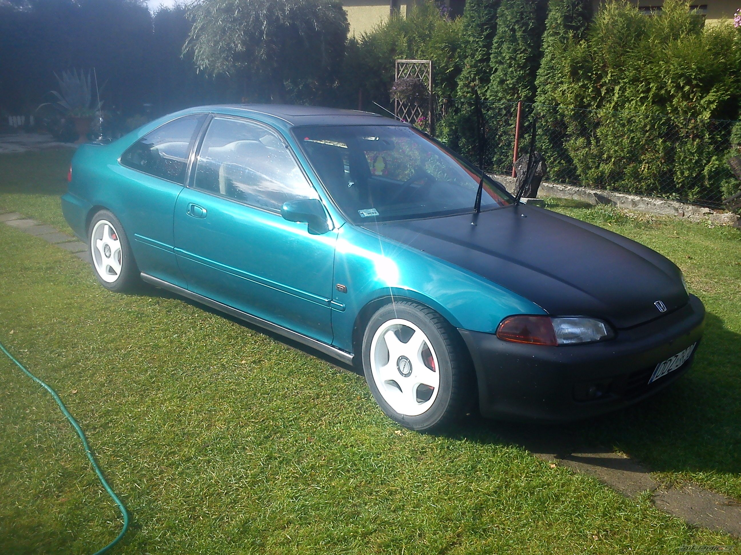 Photo 2466720