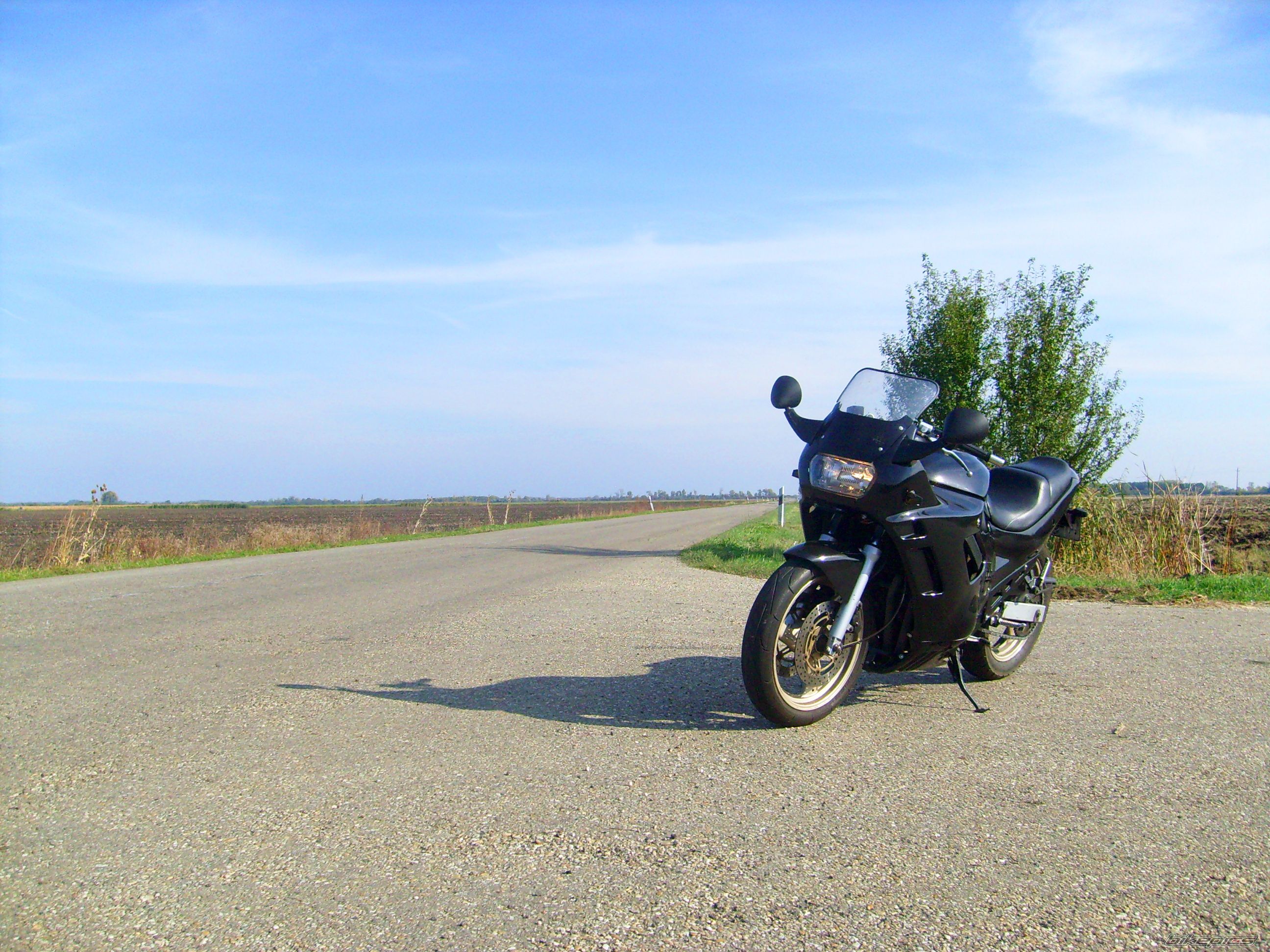 Photo 2466749