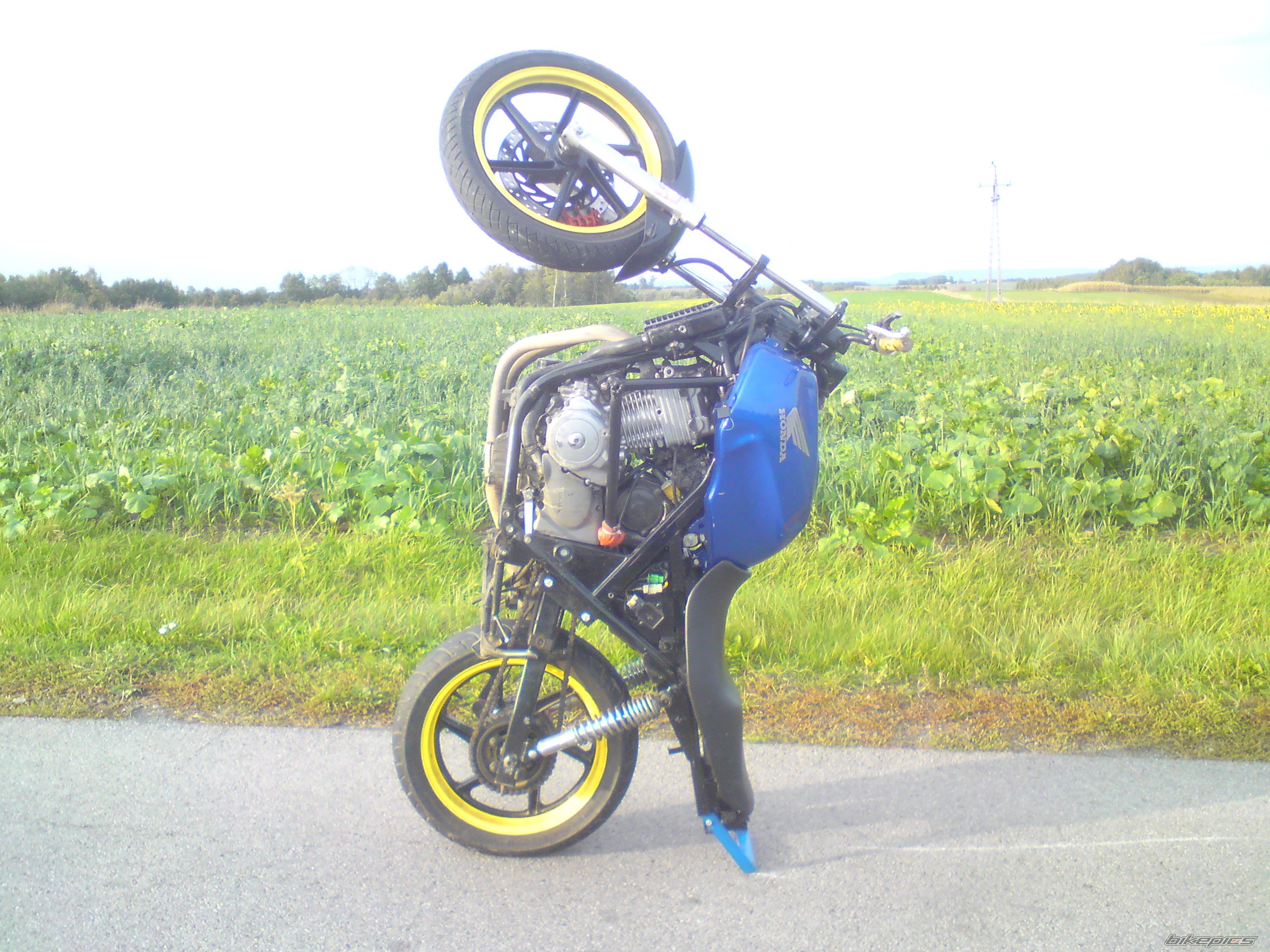Photo 2466833