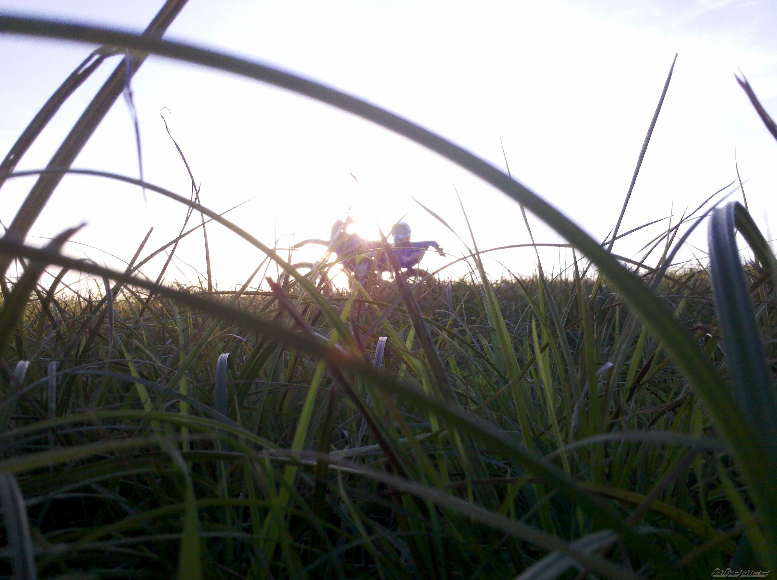 Photo 2466945