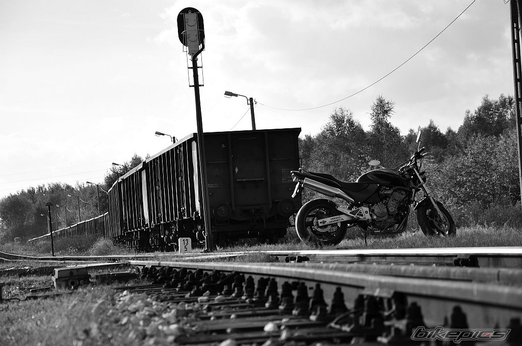 Photo 2466960