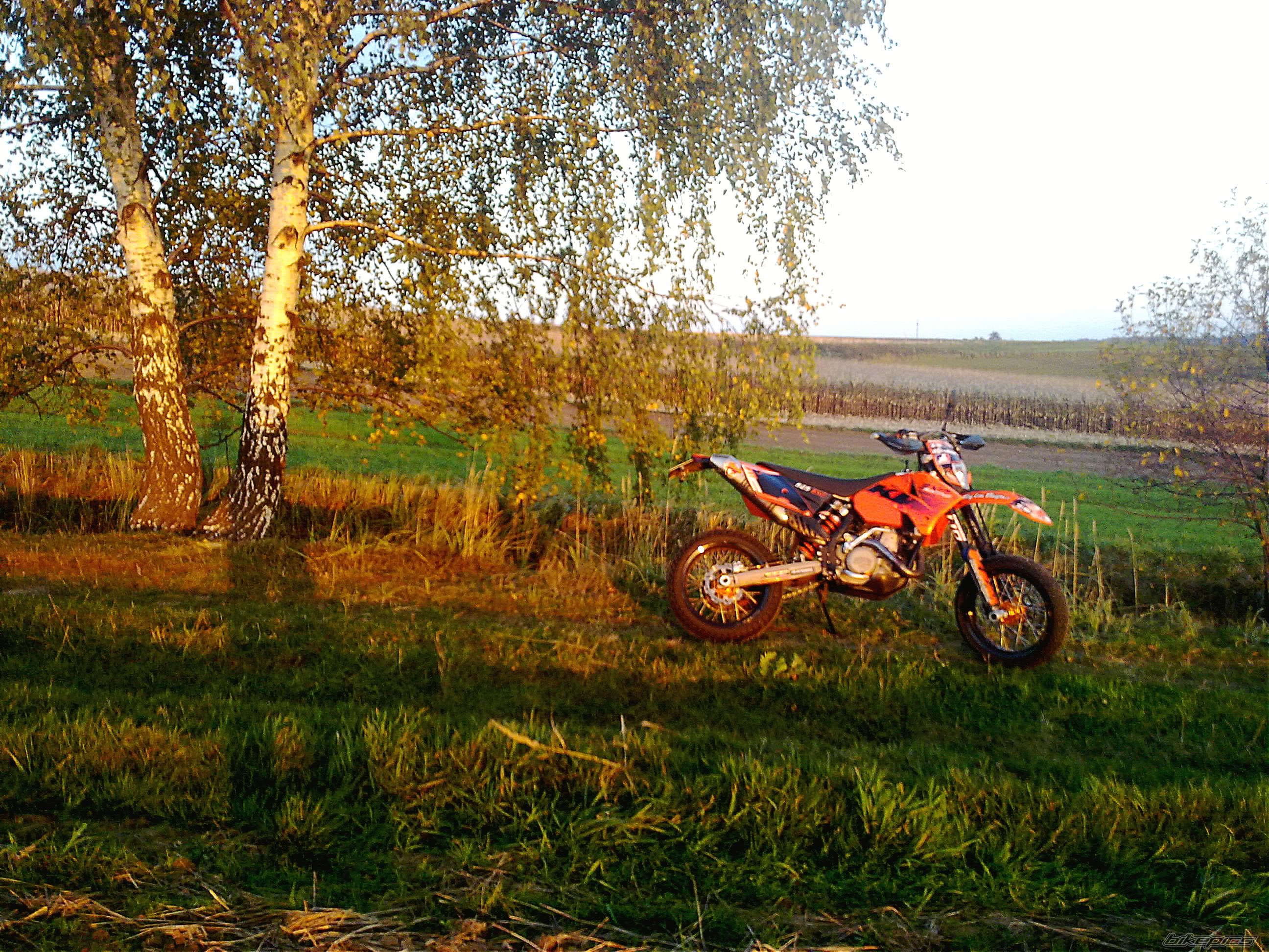 Photo 2466998