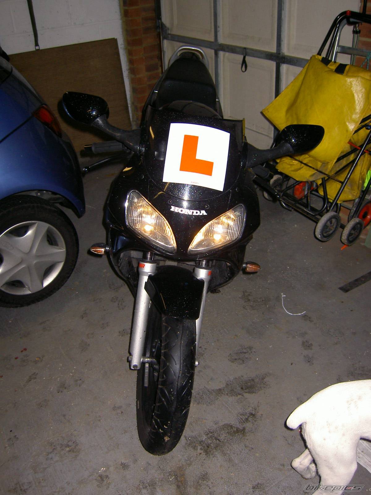 Photo 246705