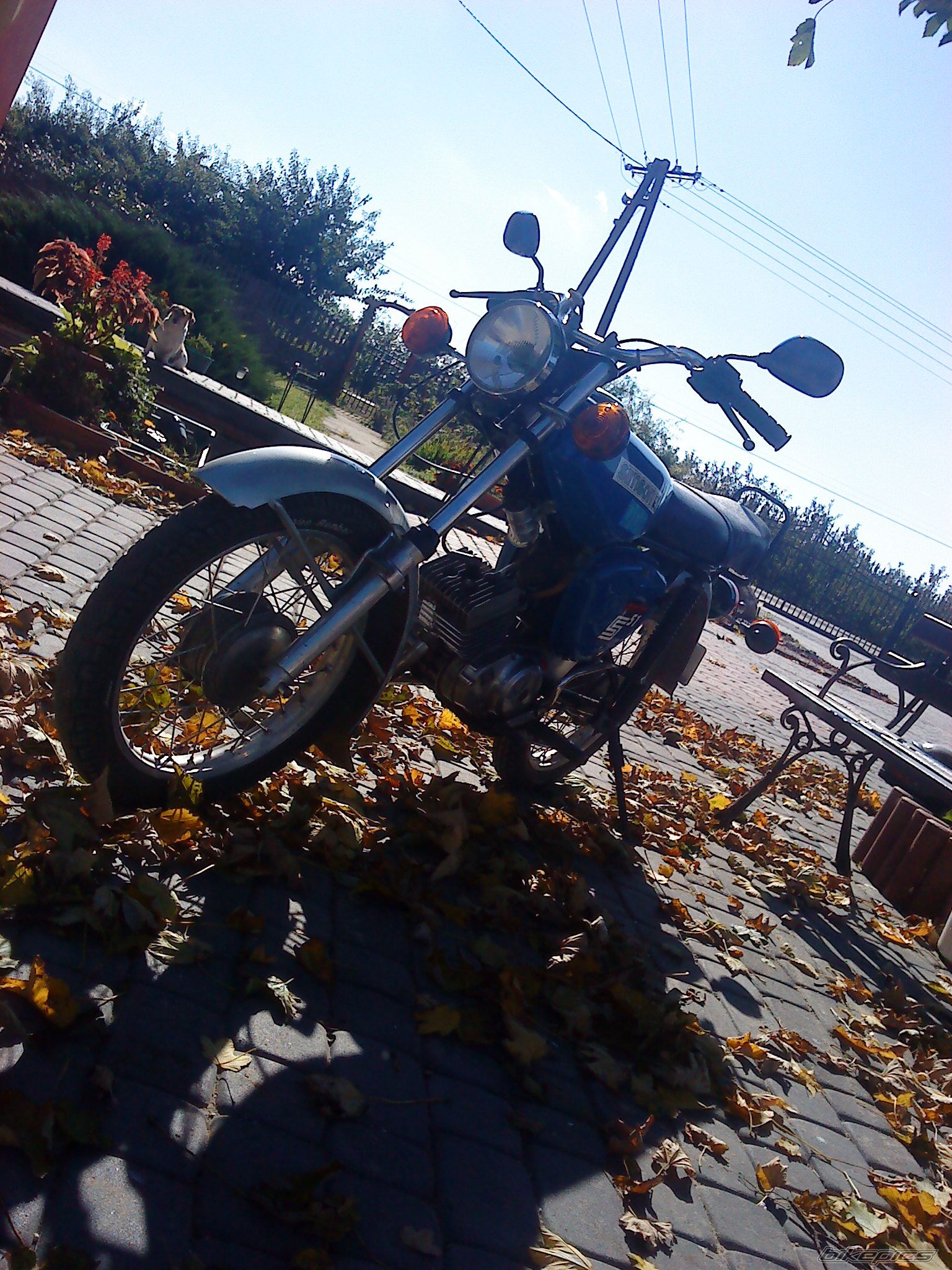 Photo 2467060