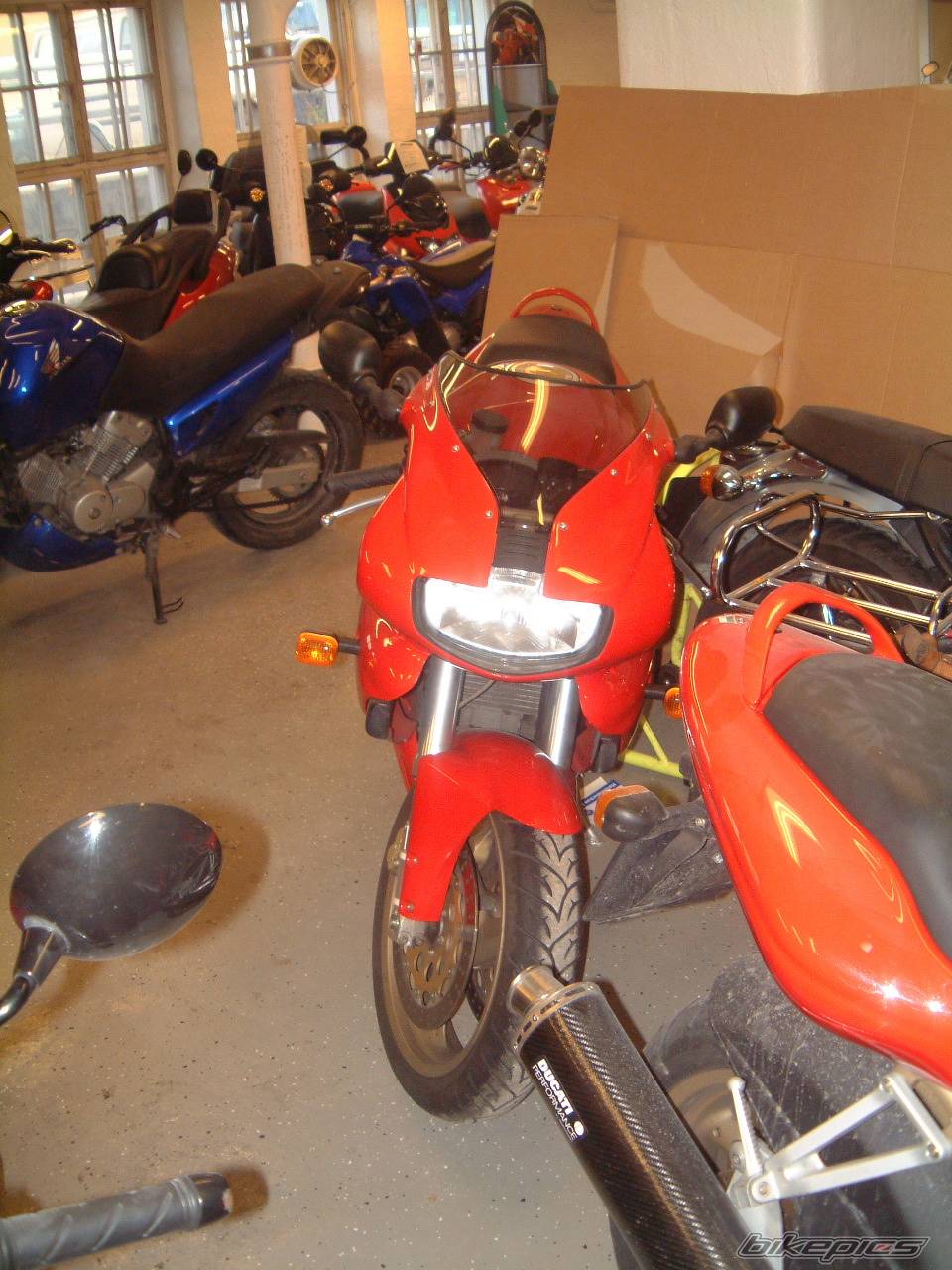 Photo 246715