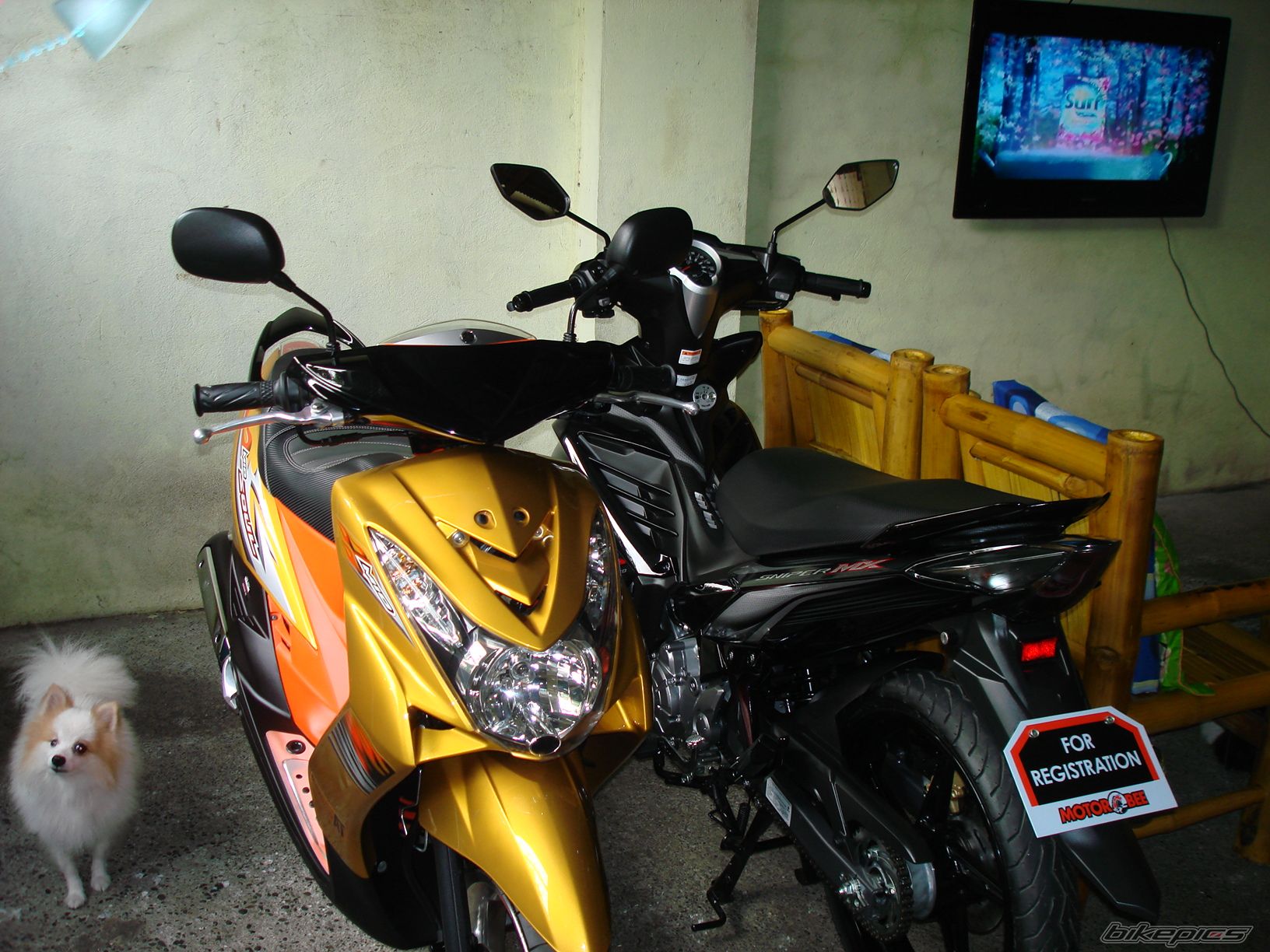 Photo 2467202