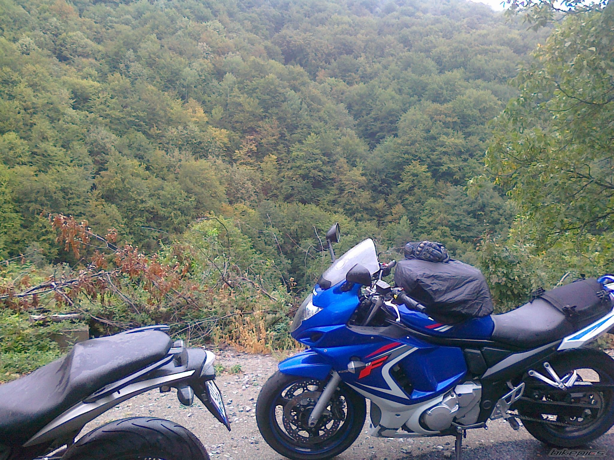 Photo 2467249