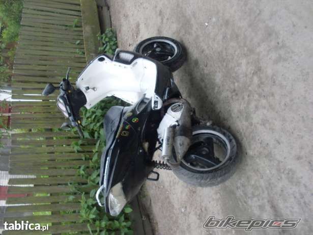Photo 2467365