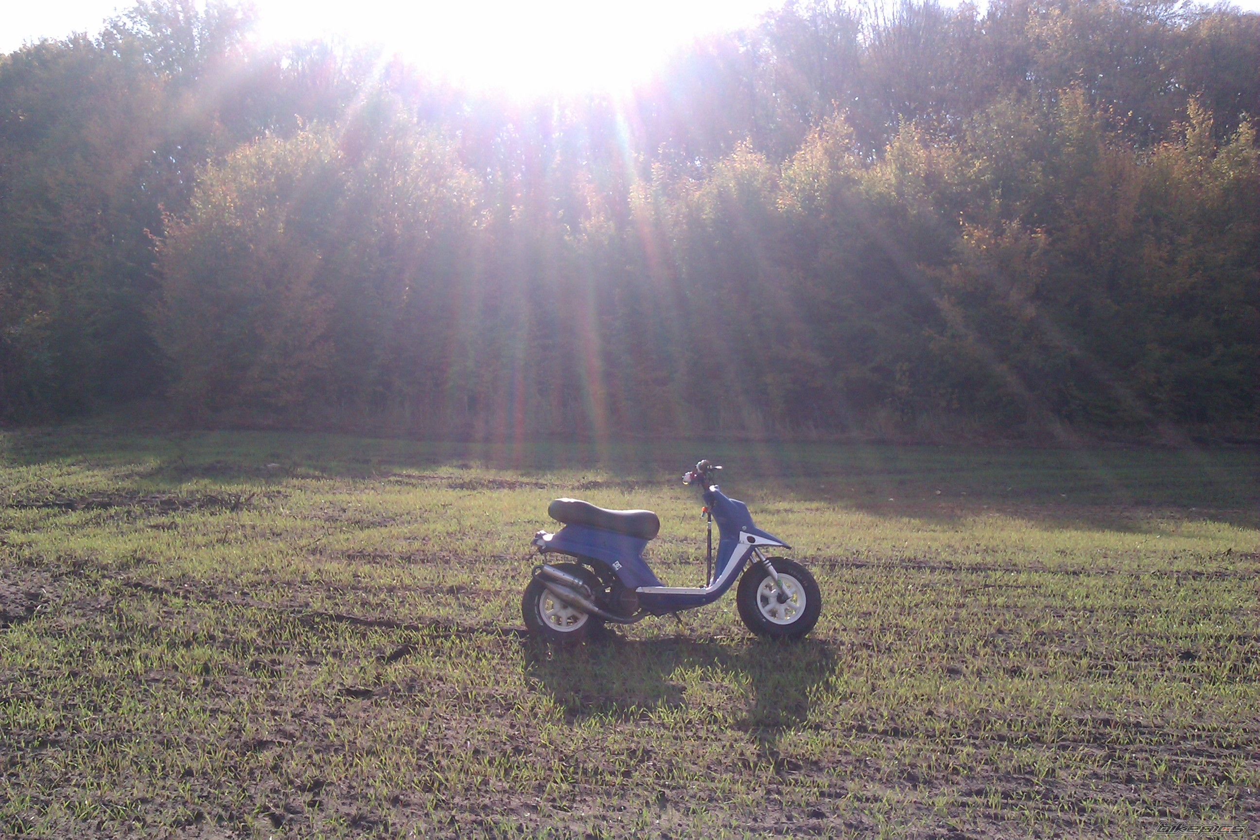 Photo 2467389