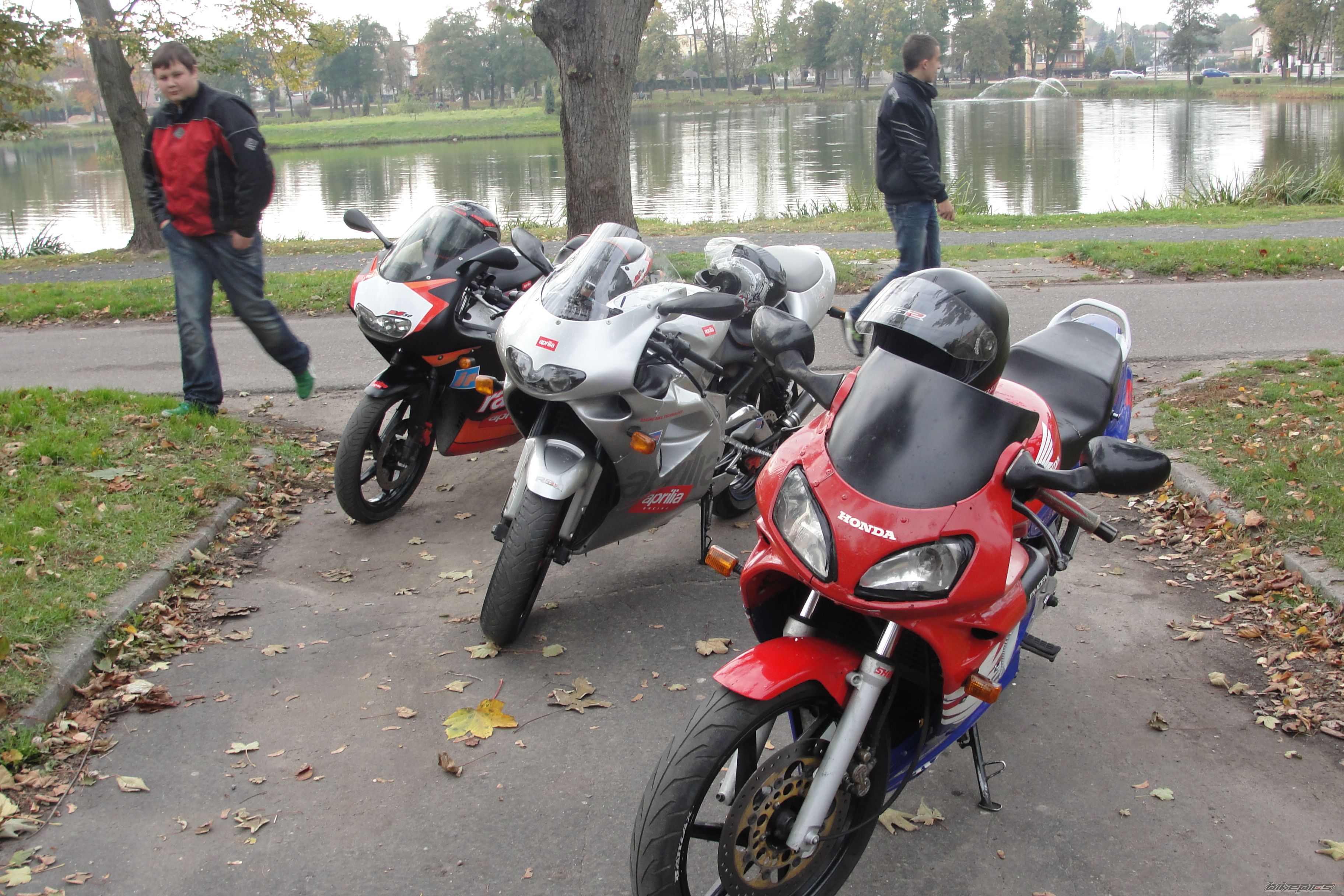 Photo 2467511