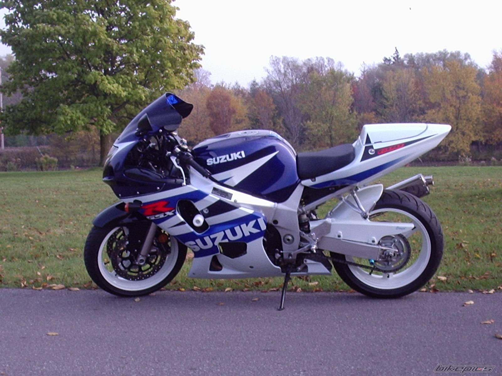 Photo 246763