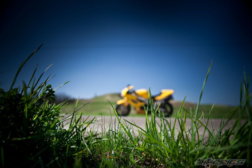 Photo 2467642