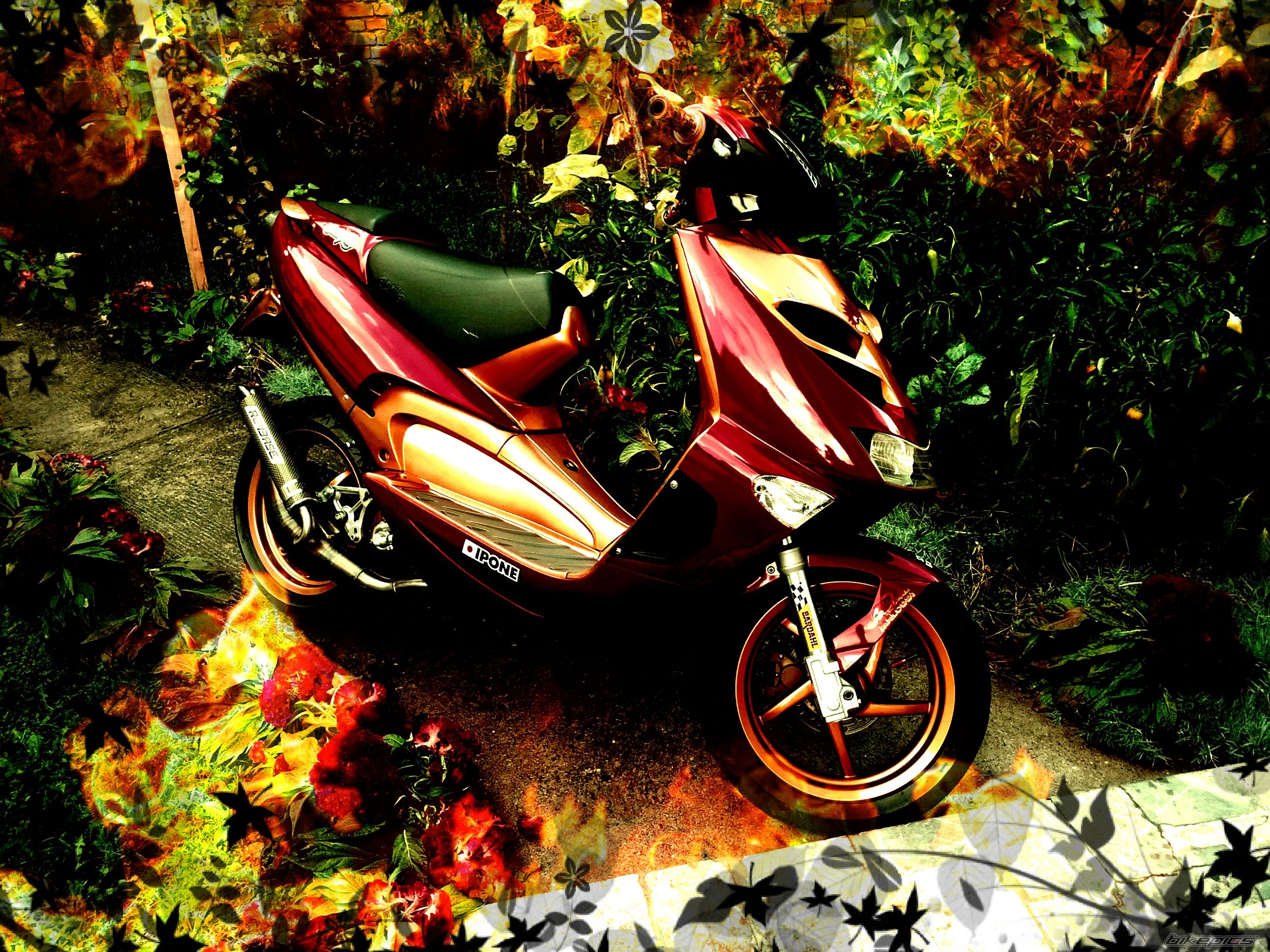 Photo 2467680