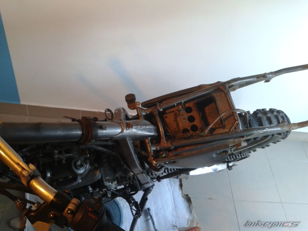 Photo 2467740