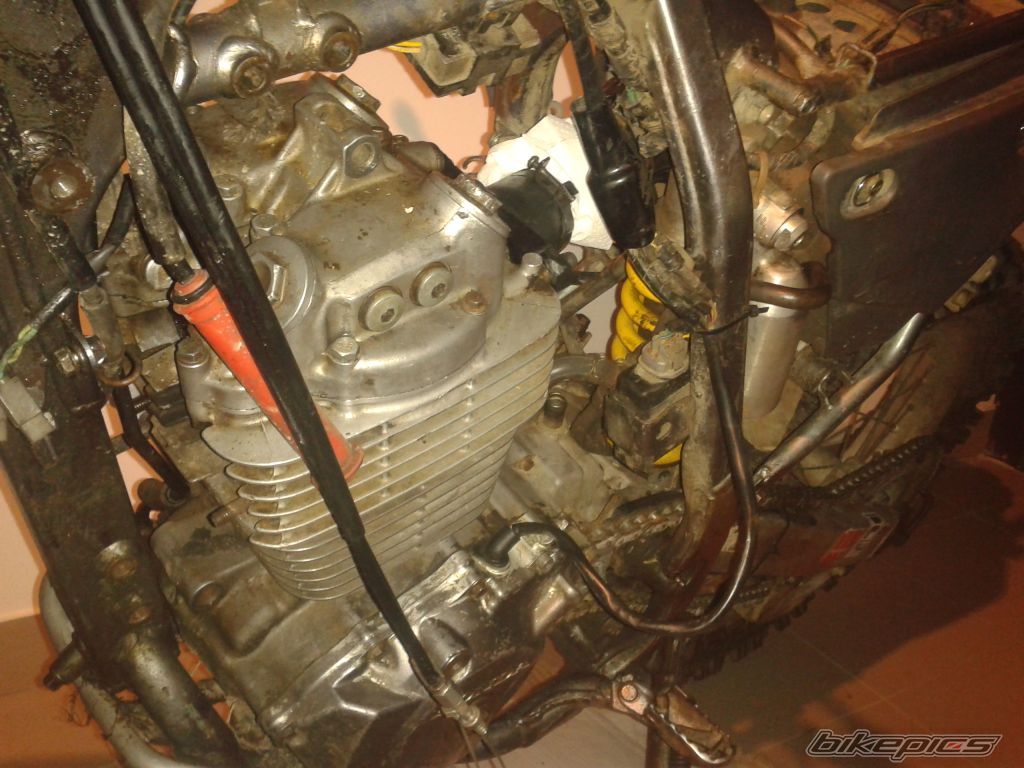 Photo 2467741