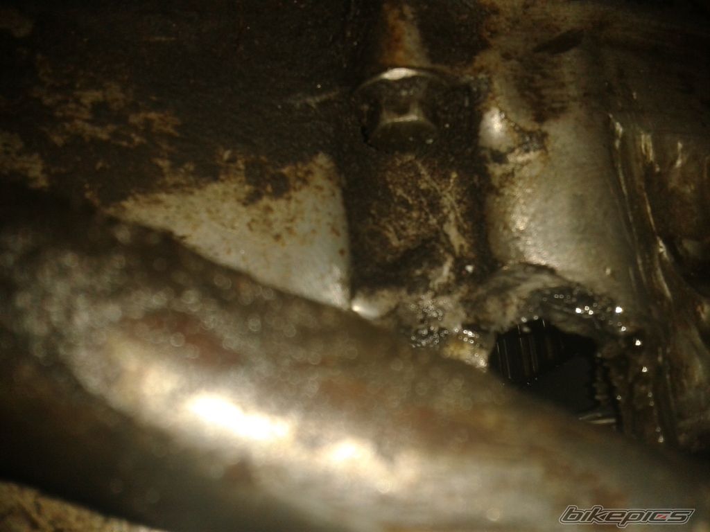 Photo 2467742