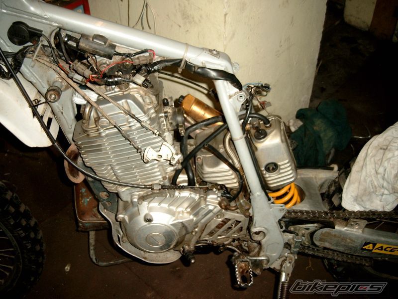 Photo 2467764