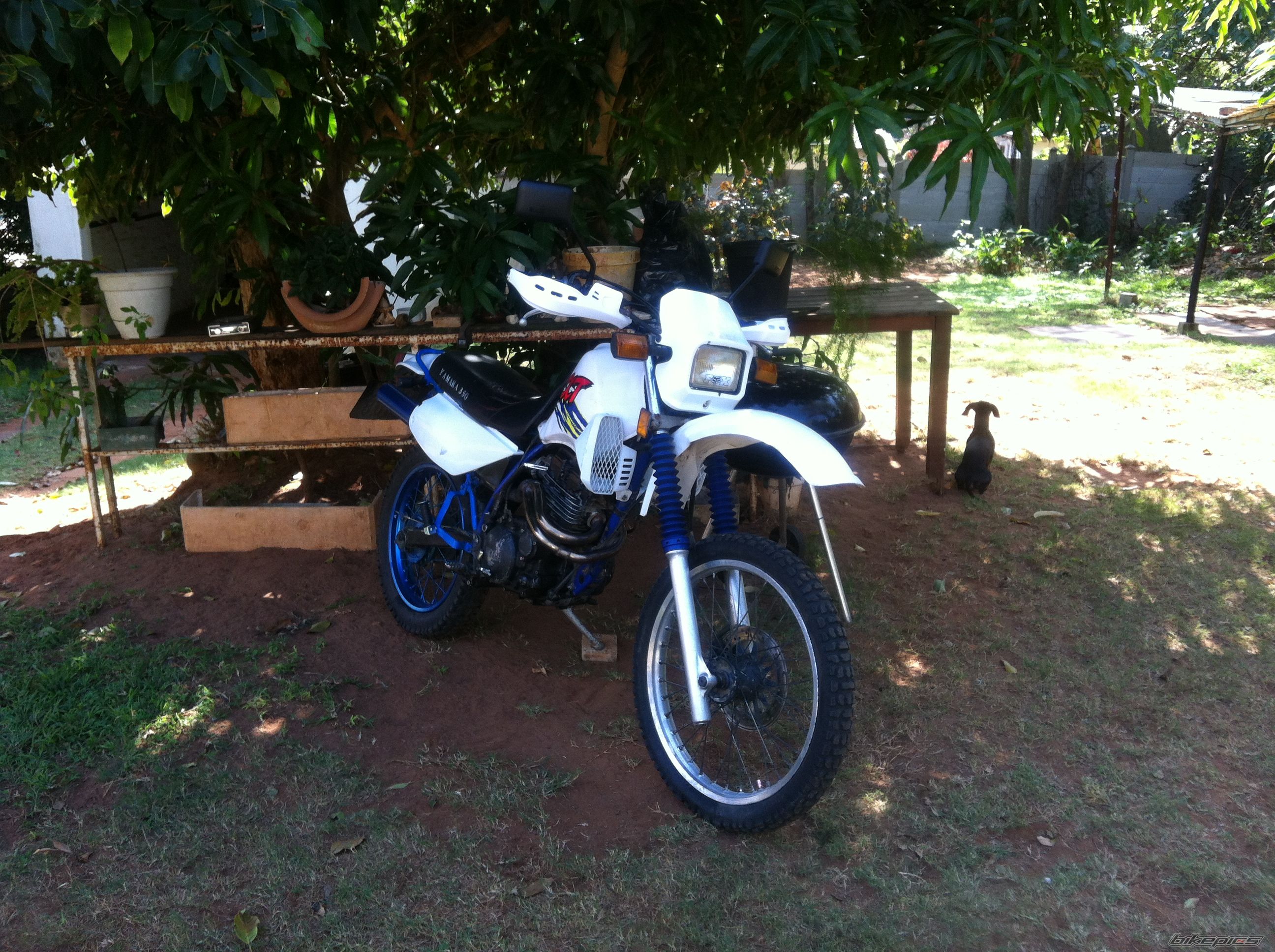 Photo 2467772