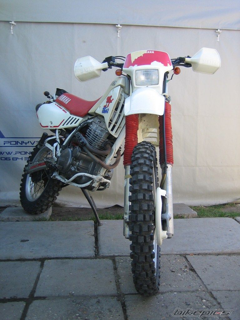 Photo 2467788
