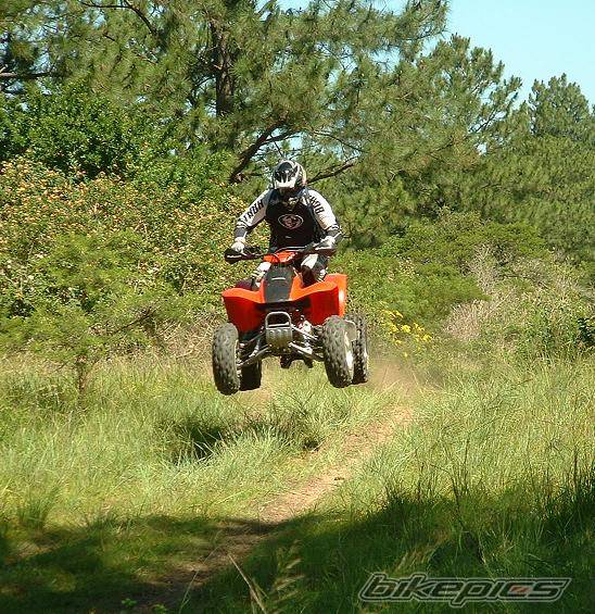 Photo 246781