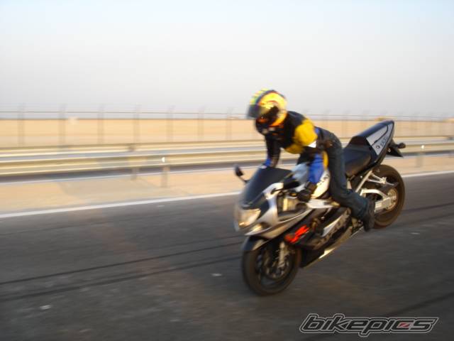 Photo 246784