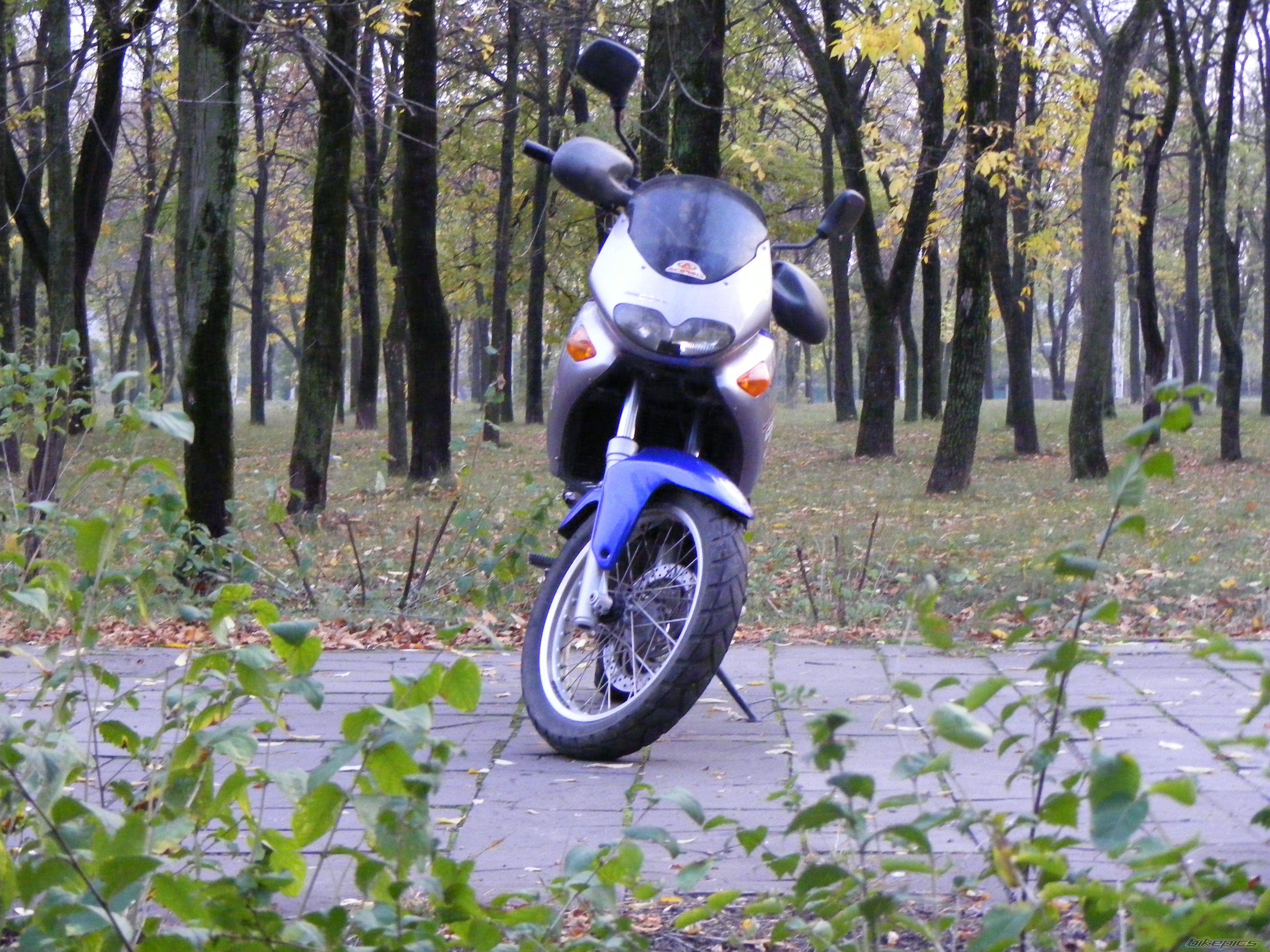 Photo 2467867