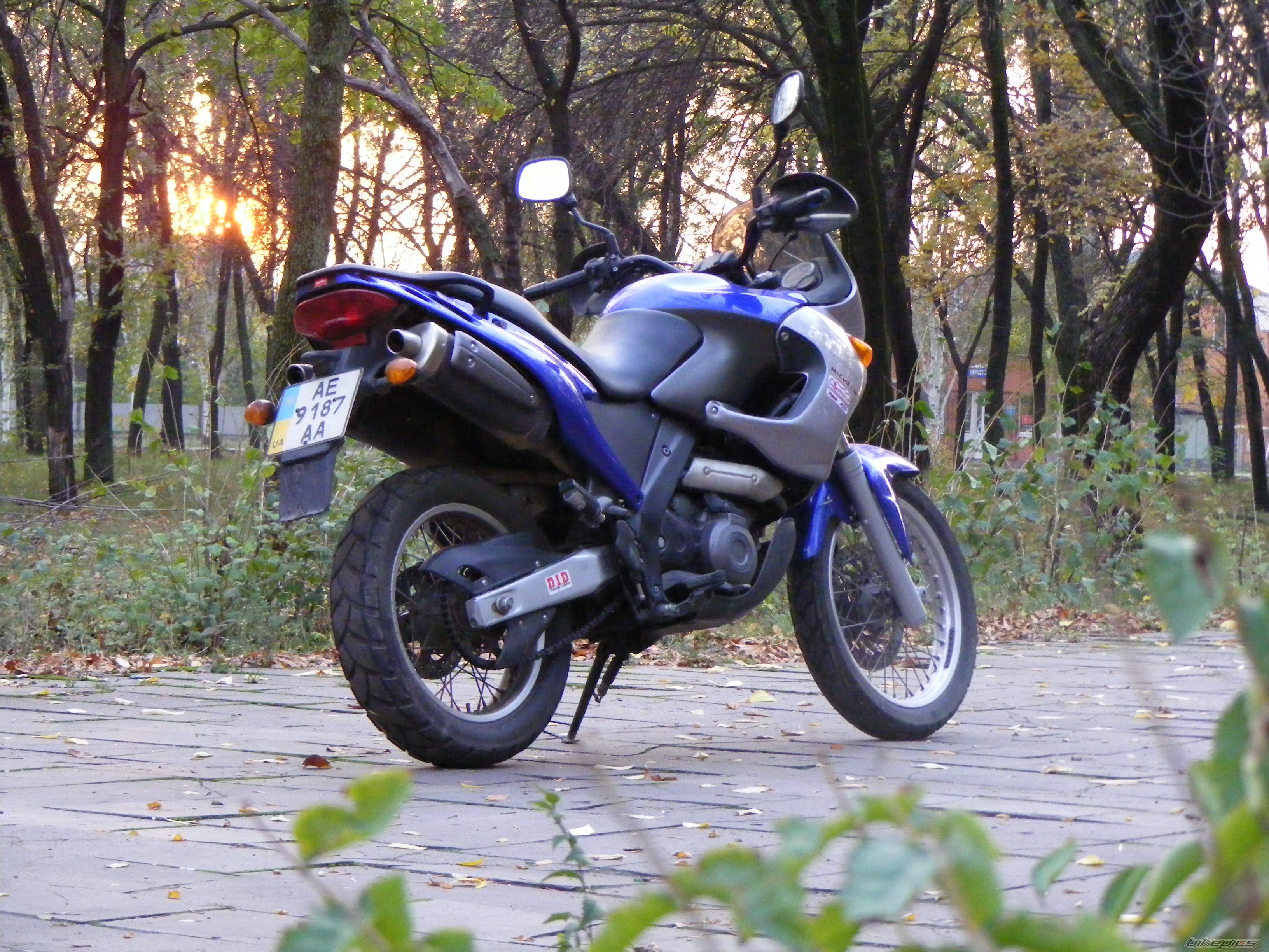 Photo 2467877