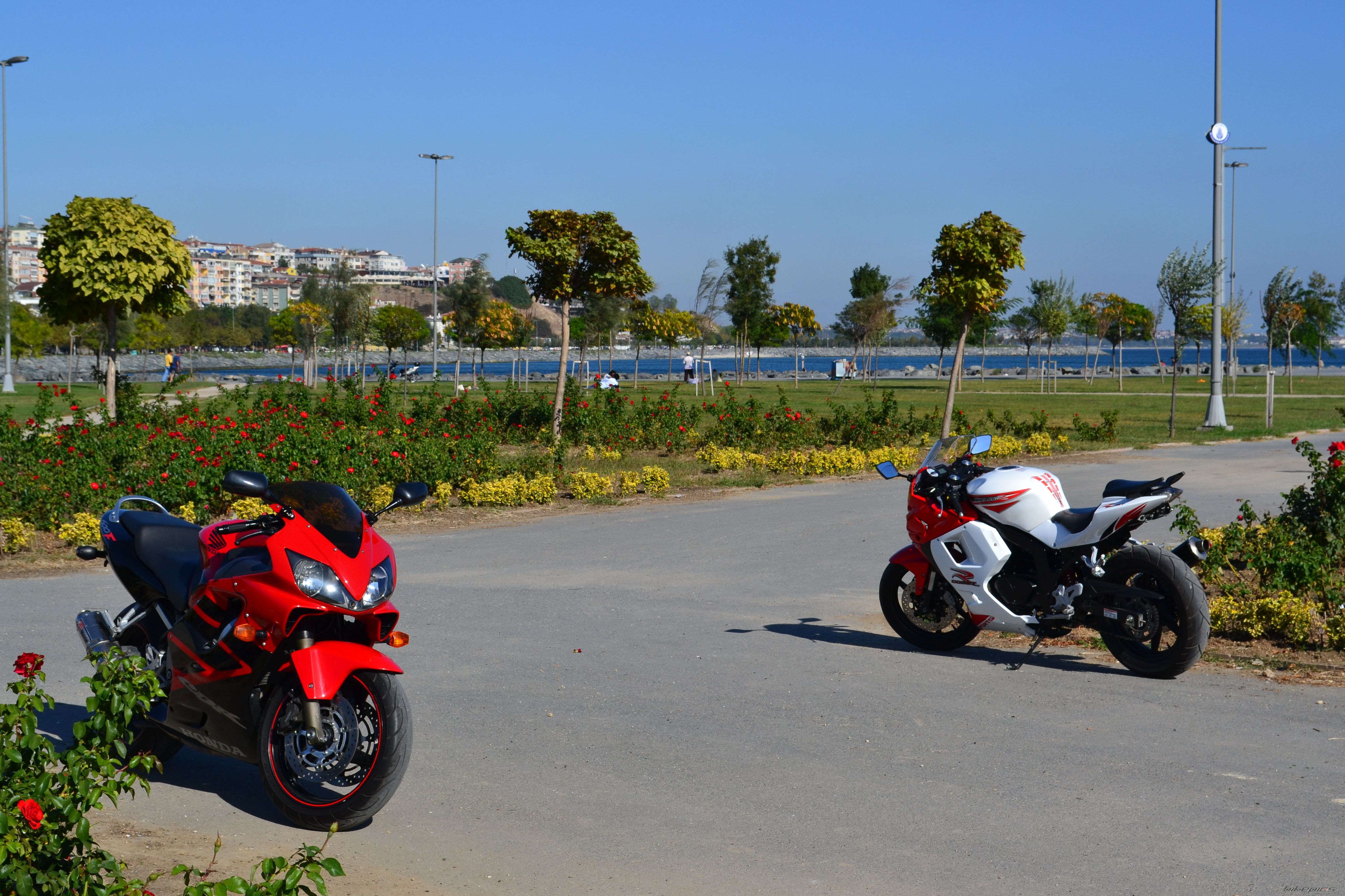 Photo 2467931