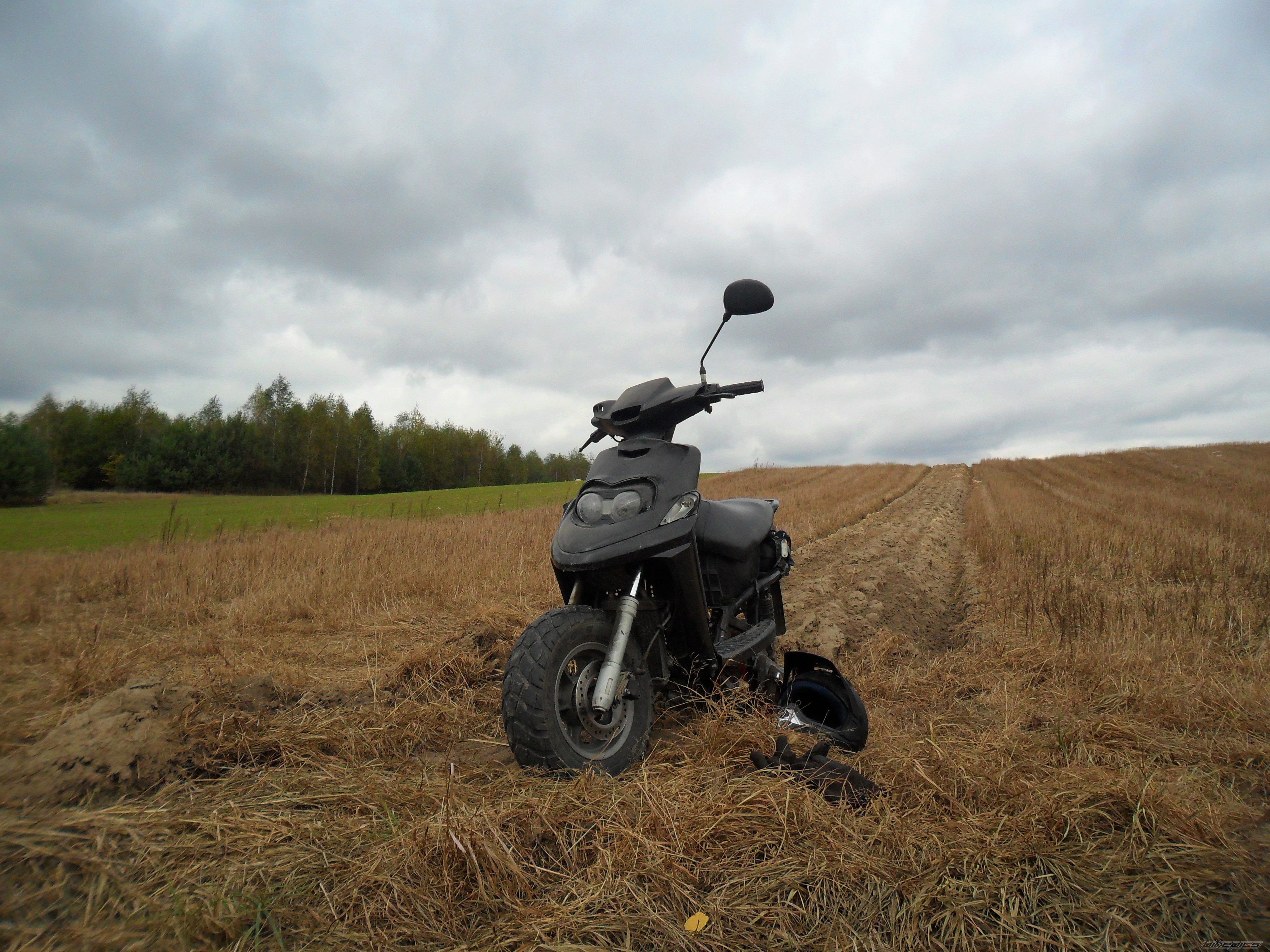 Photo 2467942