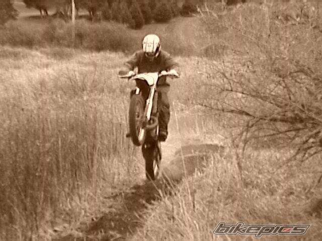 Photo 246795