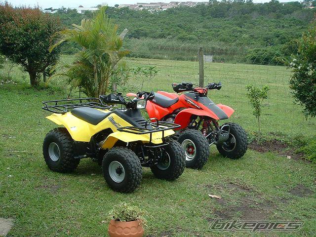 Photo 246797