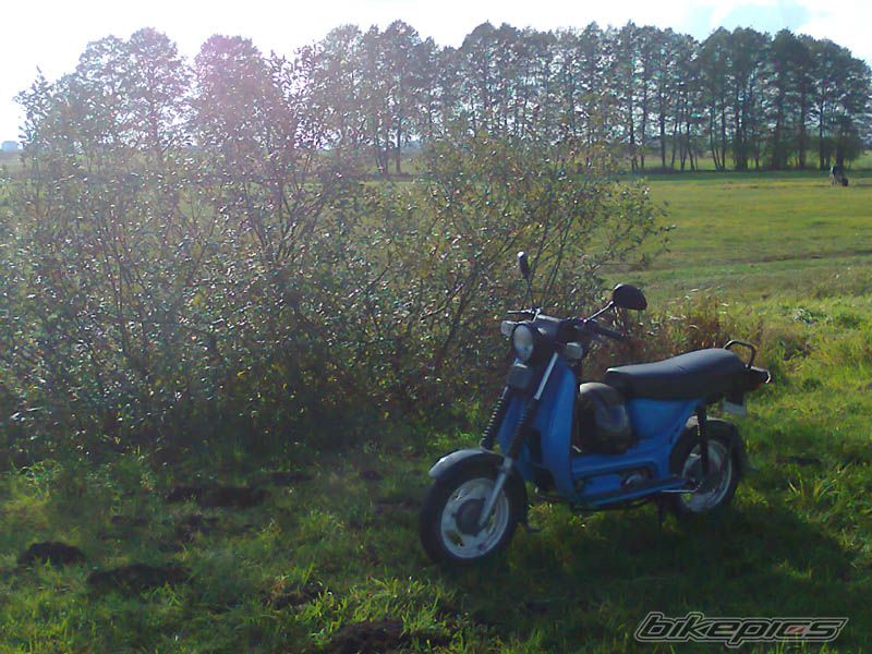 Photo 2468016